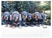 Iwan, Isa, Ingo, Inka, Ilja