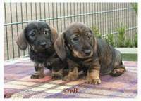 Kelly und Kira